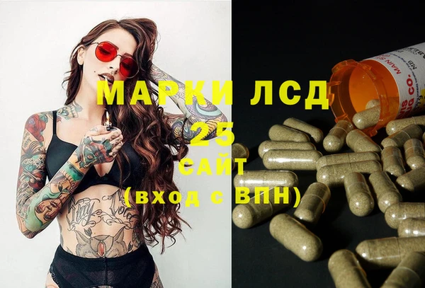 мяу мяу мука Беломорск