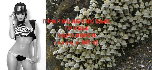 мяу мяу мука Беломорск