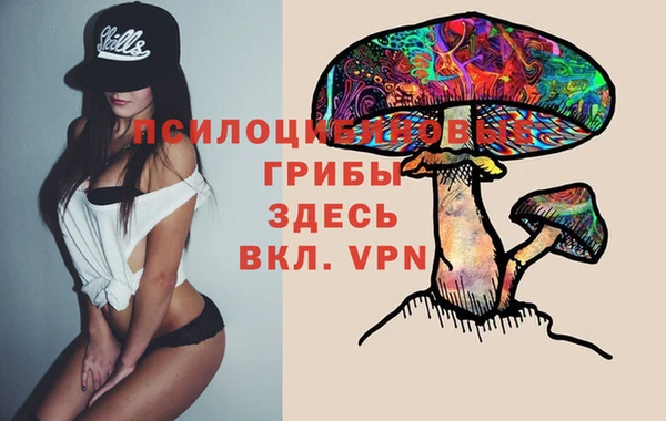 мяу мяу мука Беломорск