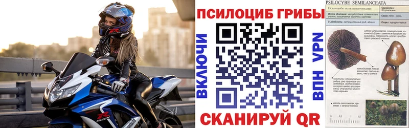 наркошоп  Щигры  Псилоцибиновые грибы мухоморы 